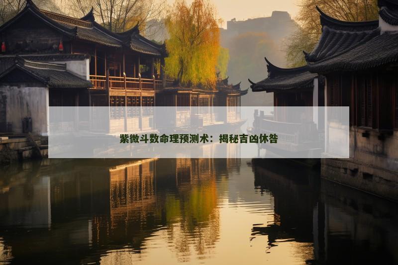 紫微斗数命理预测术:揭秘吉凶休咎