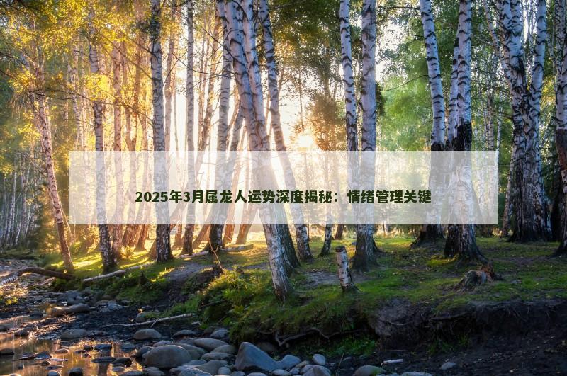 2025年3月属龙人运势深度揭秘:情绪管理关键