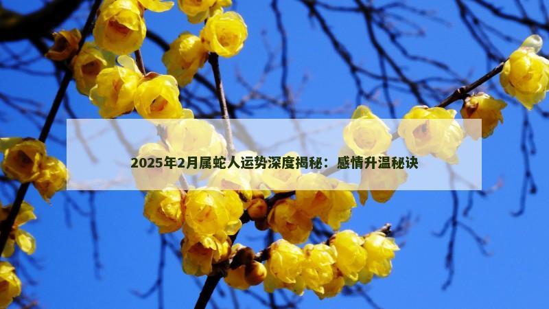 2025年2月属蛇人运势深度揭秘:感情升温秘诀