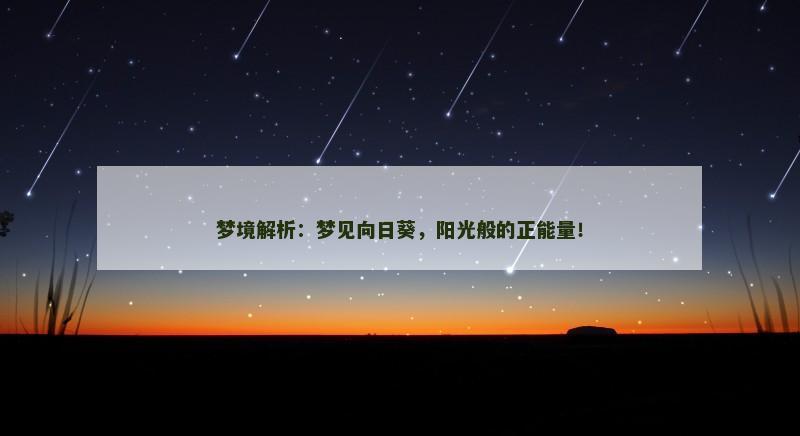 梦境解析:梦见向日葵,阳光般的正能量!