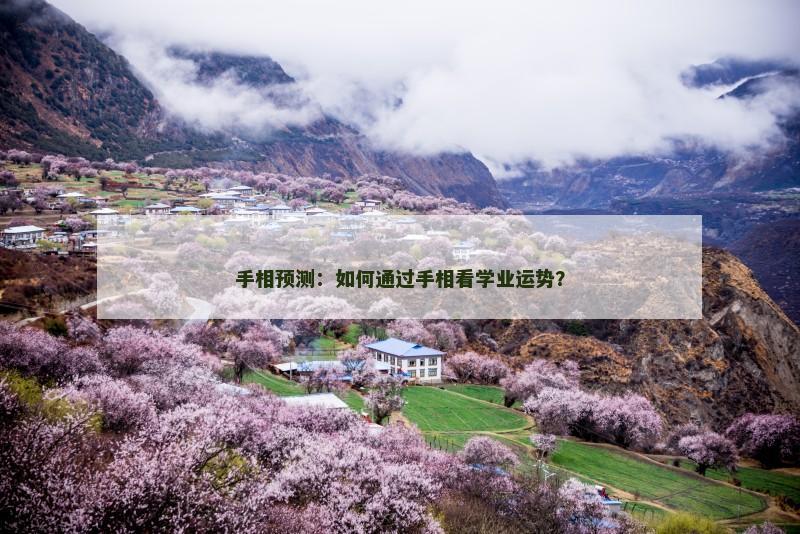 手相预测:如何通过手相看学业运势?