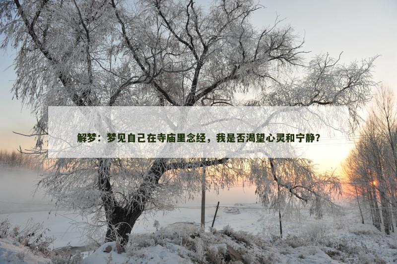 解梦:梦见自己在寺庙里念经,我是否渴望心灵和宁静?
