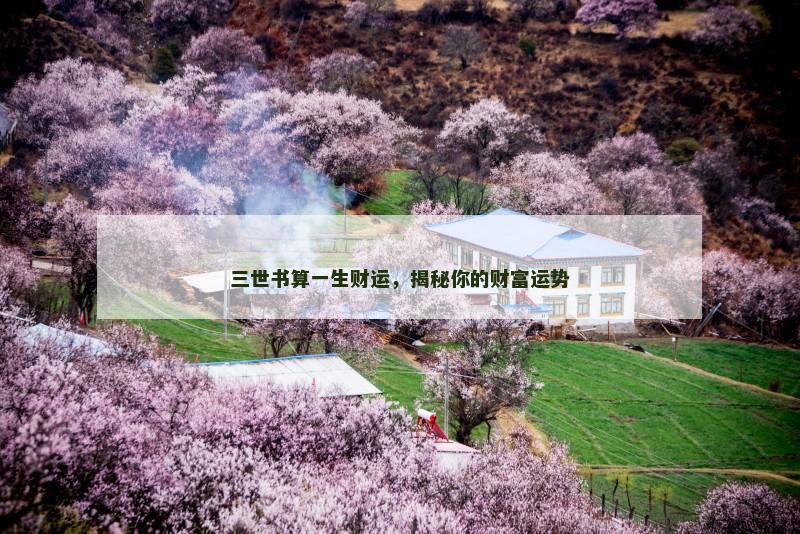 三世书算一生财运，揭秘你的财富运势