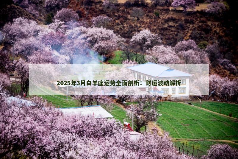 2025年3月白羊座运势全面剖析:财运波动解析
