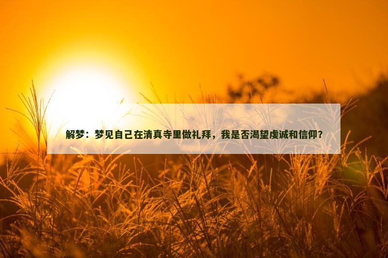 解梦:梦见自己在清真寺里做礼拜,我是否渴望虔诚和信仰?