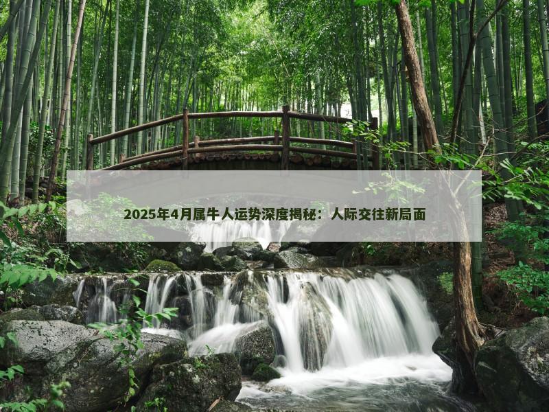 2025年4月属牛人运势深度揭秘:人际交往新局面