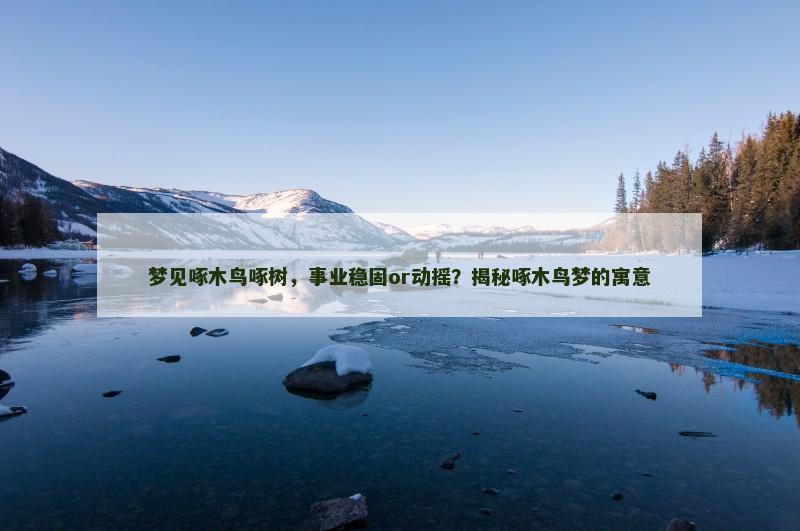 梦见啄木鸟啄树,事业稳固or动摇?揭秘啄木鸟梦的寓意