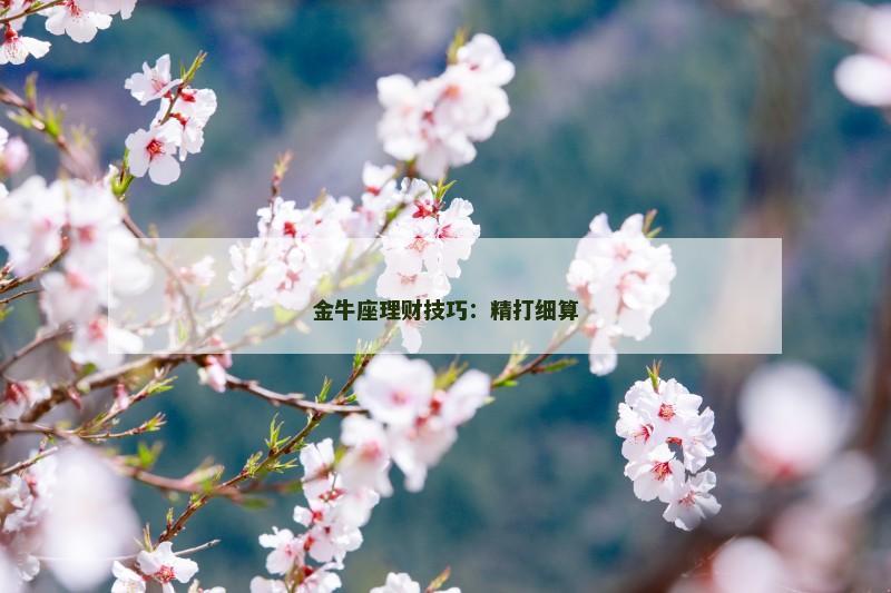金牛座理财技巧:精打细算