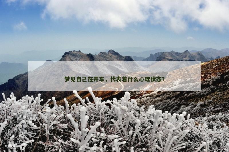 梦见自己在开车,代表着什么心理状态?