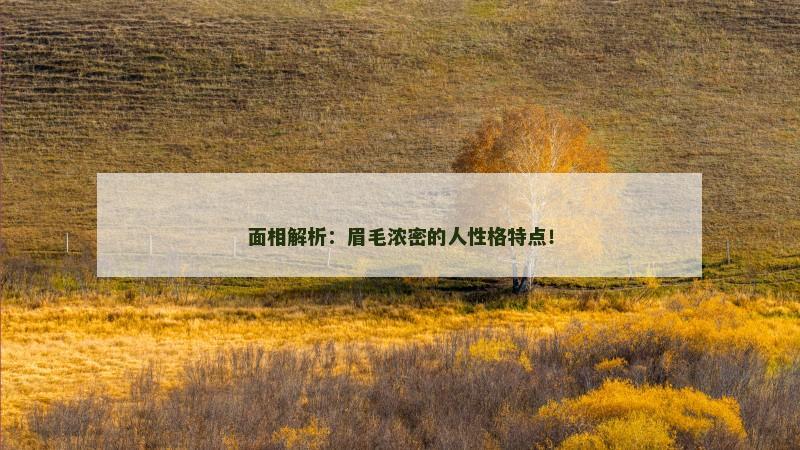 面相解析:眉毛浓密的人性格特点!