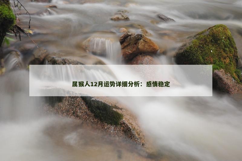 属猴人12月运势详细分析:感情稳定