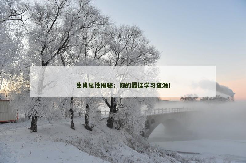生肖属性揭秘:你的最佳学习资源!