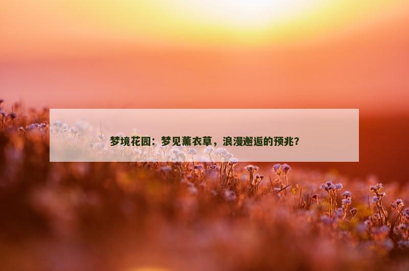 梦境花园:梦见薰衣草,浪漫邂逅的预兆?
