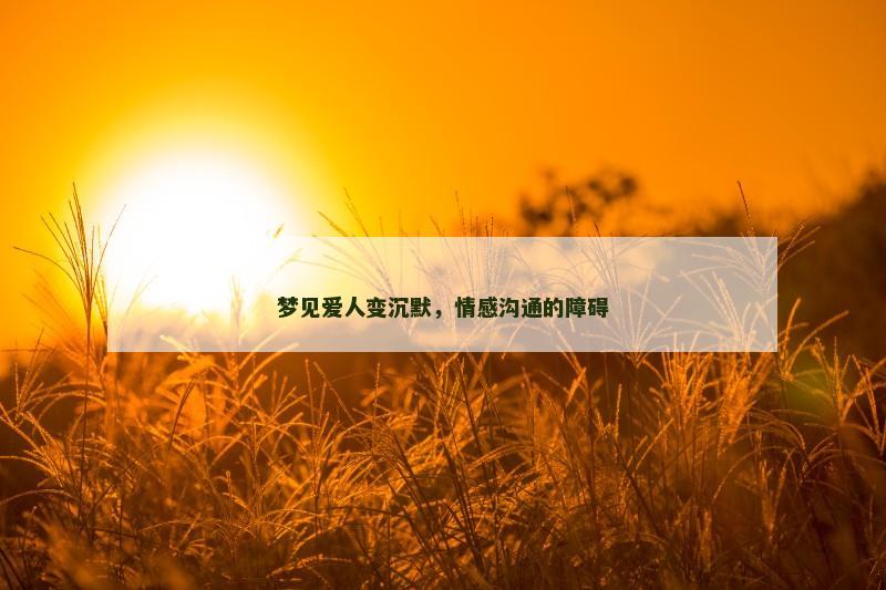 梦见爱人变沉默,情感沟通的障碍
