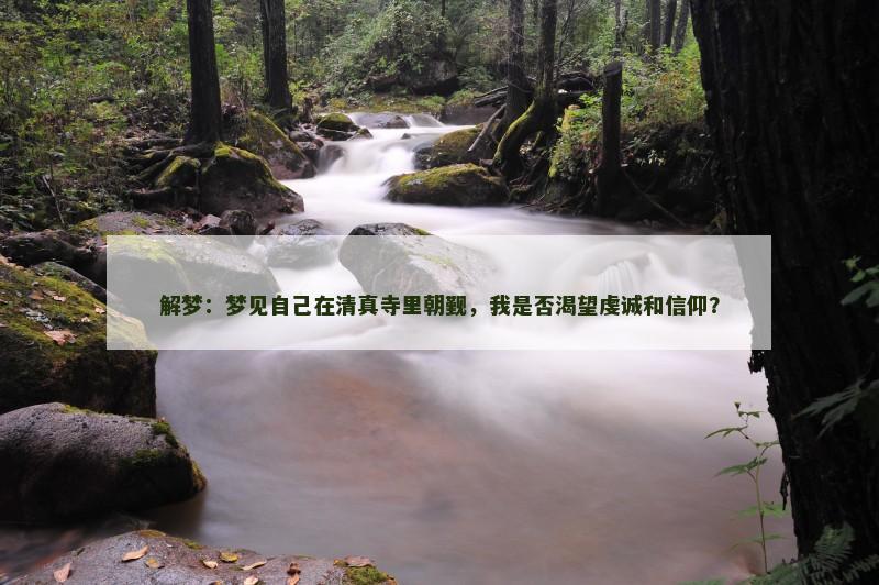解梦:梦见自己在清真寺里朝觐,我是否渴望虔诚和信仰?
