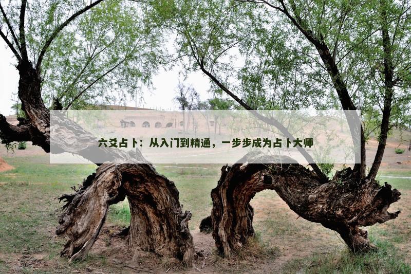 六爻占卜：从入门到精通，一步步成为占卜大师