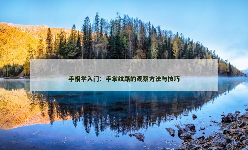 手相学入门:手掌纹路的观察方法与技巧