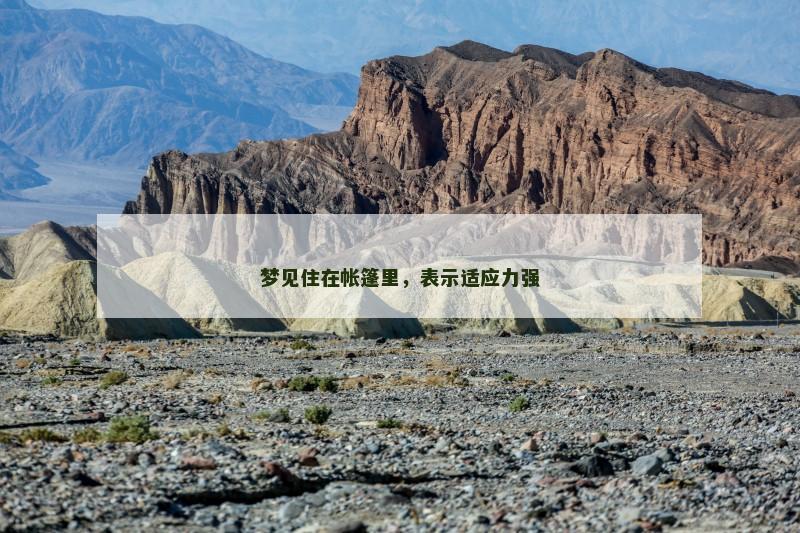 梦见住在帐篷里,表示适应力强