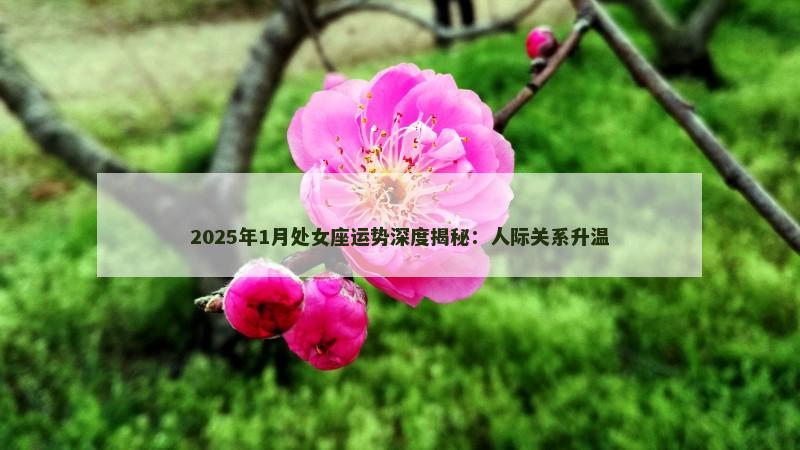 2025年1月处女座运势深度揭秘：人际关系升温