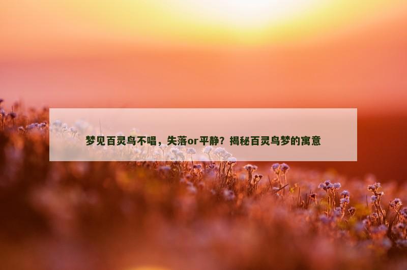 梦见百灵鸟不唱,失落or平静?揭秘百灵鸟梦的寓意