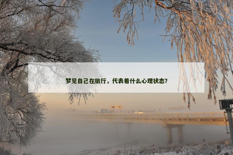 梦见自己在旅行,代表着什么心理状态?