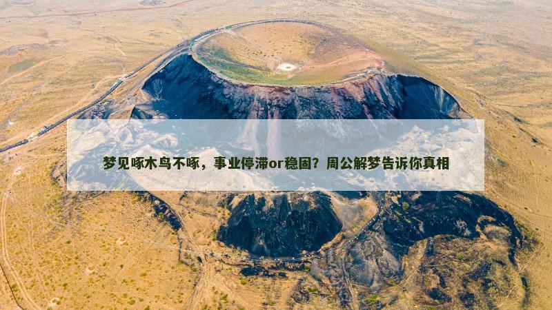 梦见啄木鸟不啄,事业停滞or稳固?周公解梦告诉你真相