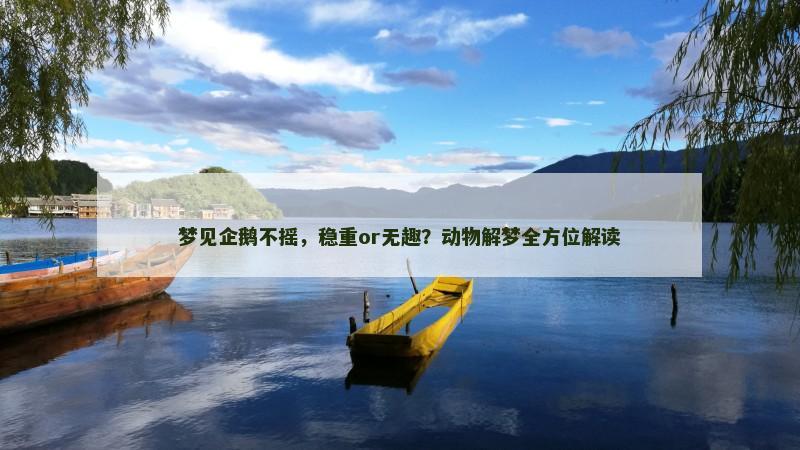梦见企鹅不摇,稳重or无趣?动物解梦全方位解读