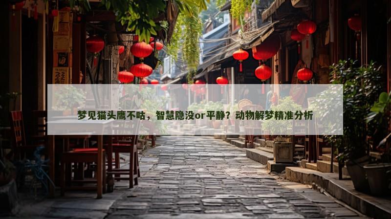 梦见猫头鹰不咕,智慧隐没or平静?动物解梦精准分析