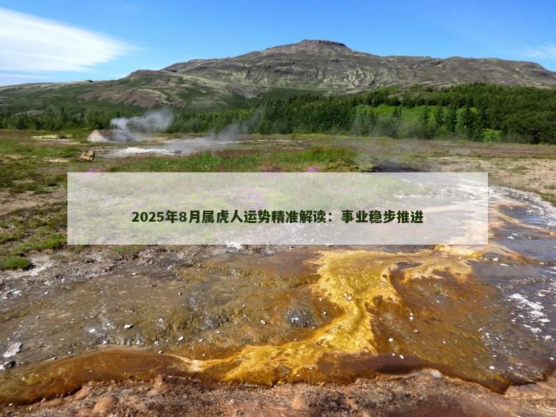 2025年8月属虎人运势精准解读:事业稳步推进