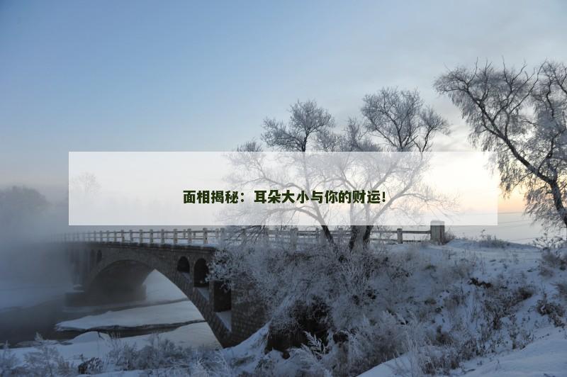 面相揭秘:耳朵大小与你的财运!