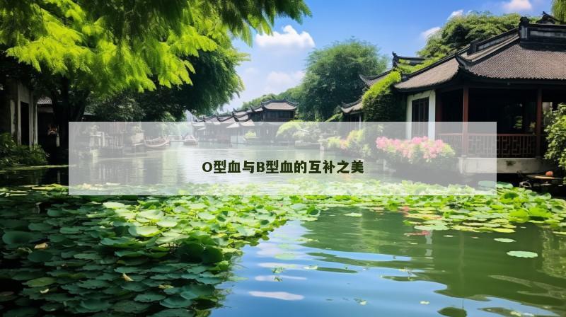 O型血与B型血的互补之美
