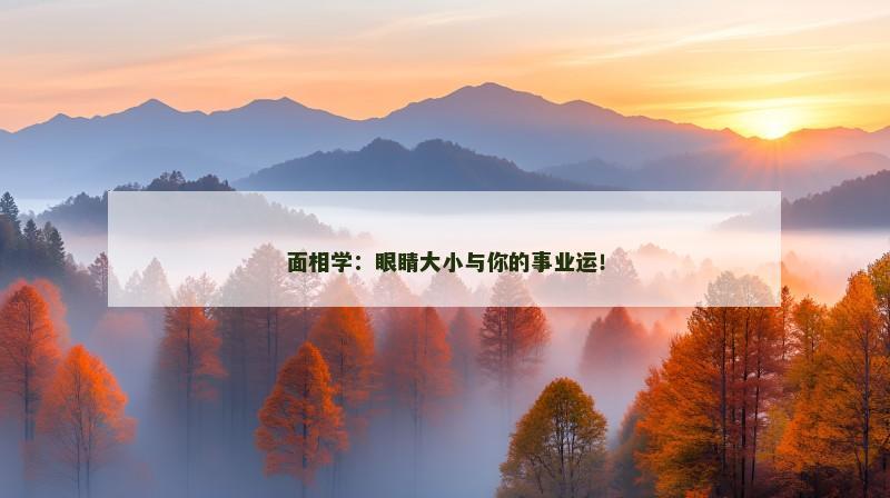 面相学:眼睛大小与你的事业运!