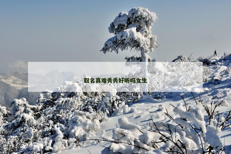 取名真难秀秀好听吗女生
