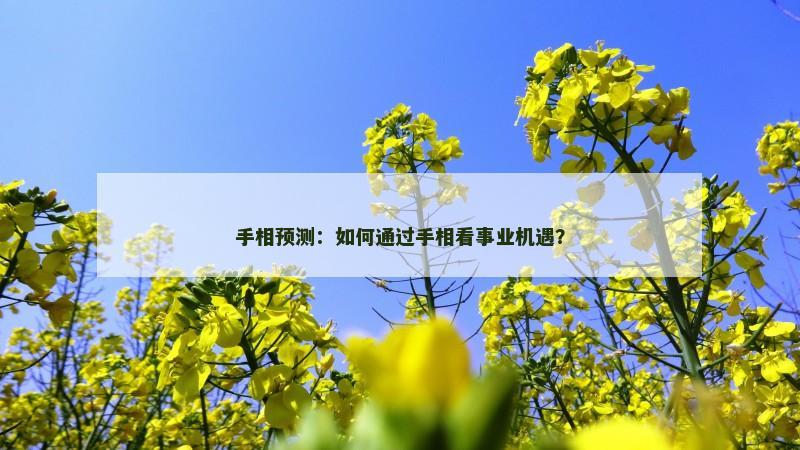 手相预测:如何通过手相看事业机遇?