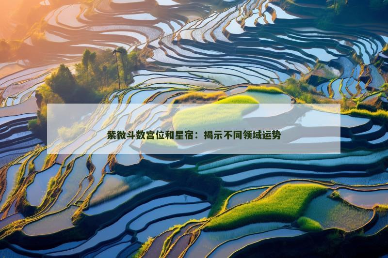 紫微斗数宫位和星宿:揭示不同领域运势