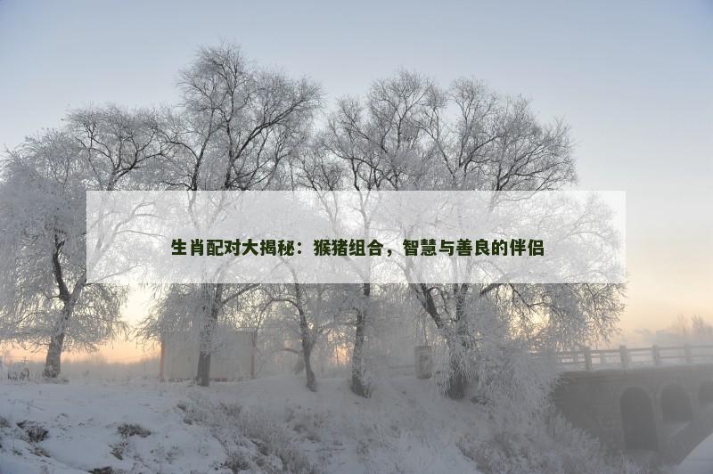 生肖配对大揭秘：猴猪组合，智慧与善良的伴侣