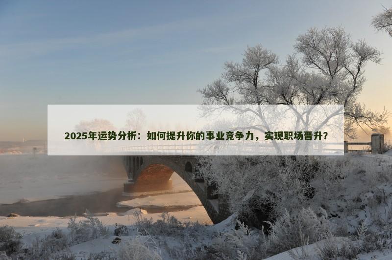 2025年运势分析：如何提升你的事业竞争力，实现职场晋升？