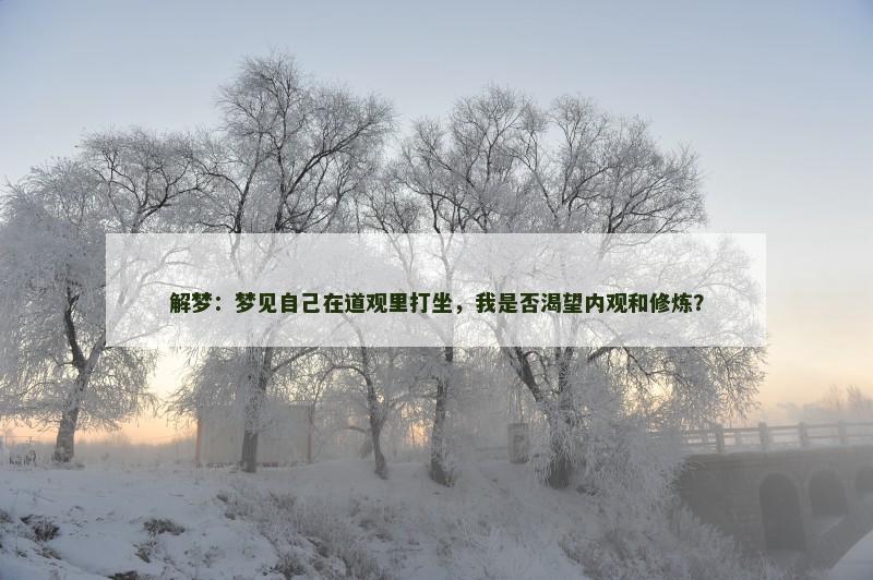 解梦：梦见自己在道观里打坐，我是否渴望内观和修炼？