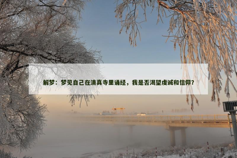 解梦：梦见自己在清真寺里诵经，我是否渴望虔诚和信仰？