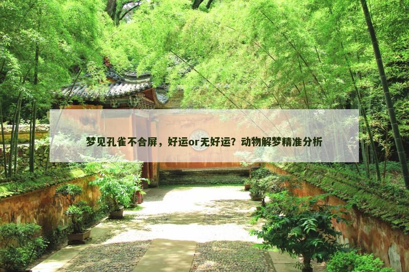 梦见孔雀不合屏，好运or无好运？动物解梦精准分析