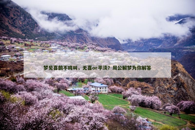 梦见喜鹊不鸣叫，无喜or平淡？周公解梦为你解答