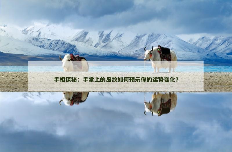 手相探秘：手掌上的岛纹如何预示你的运势变化？