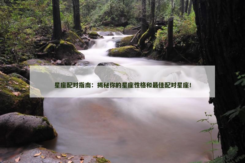 星座配对指南：揭秘你的星座性格和最佳配对星座！