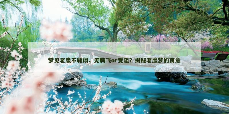 梦见老鹰不翱翔，无腾飞or受阻？揭秘老鹰梦的寓意