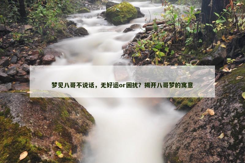 梦见八哥不说话，无好运or困扰？揭开八哥梦的寓意