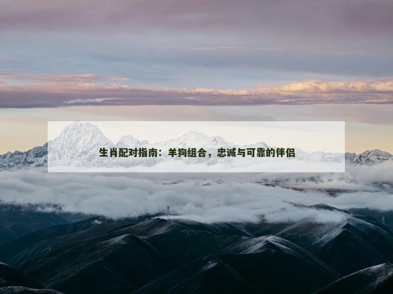 生肖配对指南：羊狗组合，忠诚与可靠的伴侣