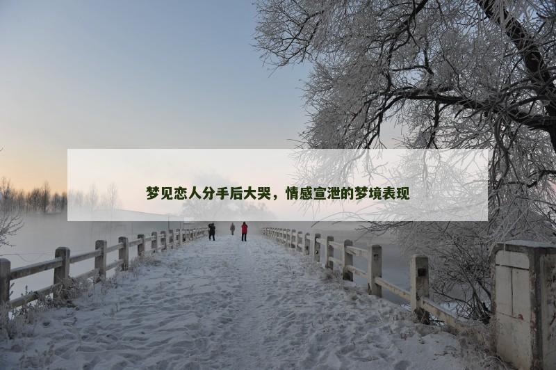 梦见恋人分手后大哭，情感宣泄的梦境表现