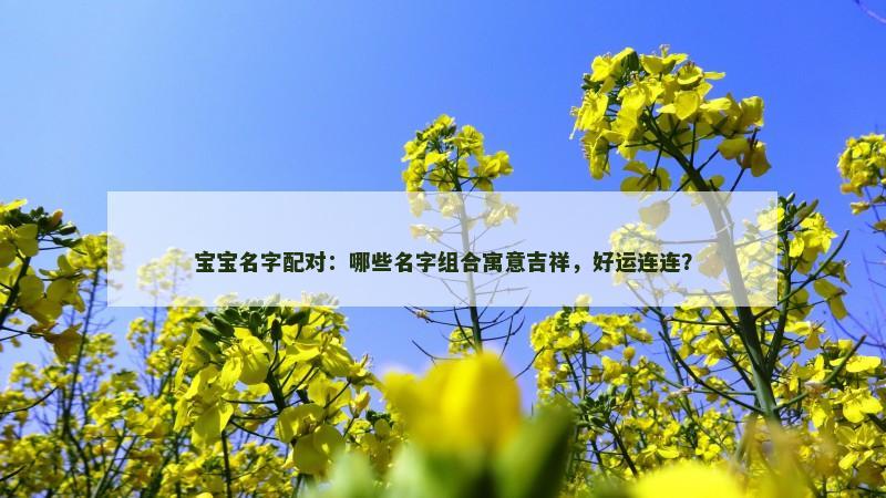 宝宝名字配对：哪些名字组合寓意吉祥，好运连连？