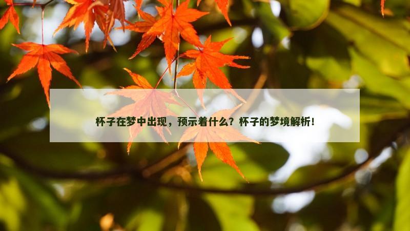 杯子在梦中出现，预示着什么？杯子的梦境解析！