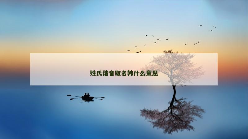 姓氏谐音取名韩什么意思